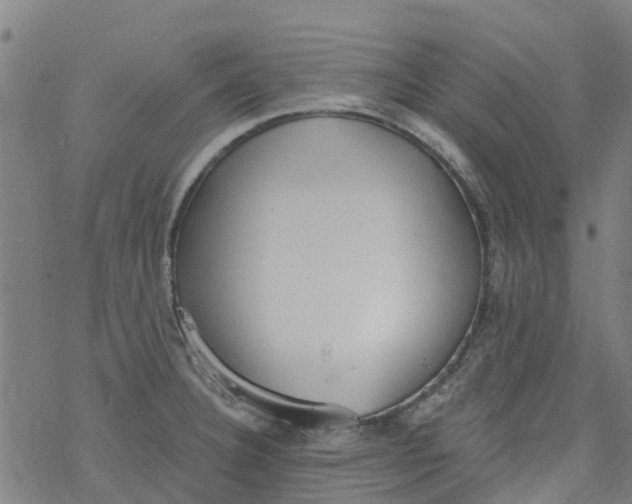 X0000077401332200611101810