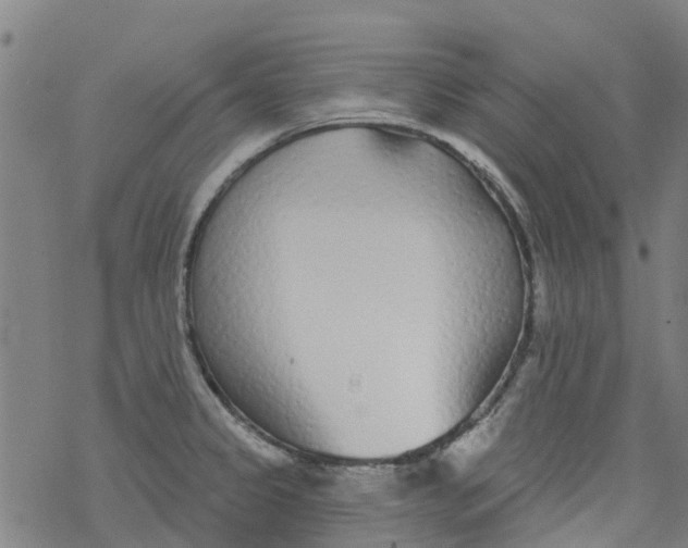 X0000077401333200611101810