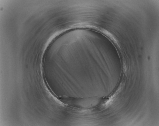 X0000077401334200611101810