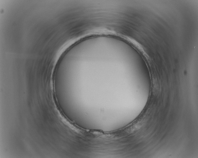 X0000077401335200611101810