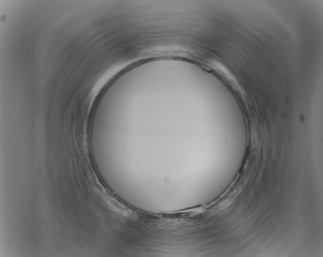 X0000077401336200611101810