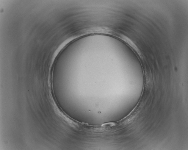 X0000077401339200611101810