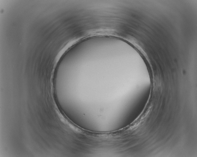 X0000077401341200611101810