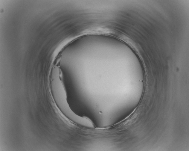 X0000077401344200611101810