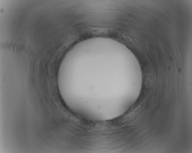 X0000077401345200611101810