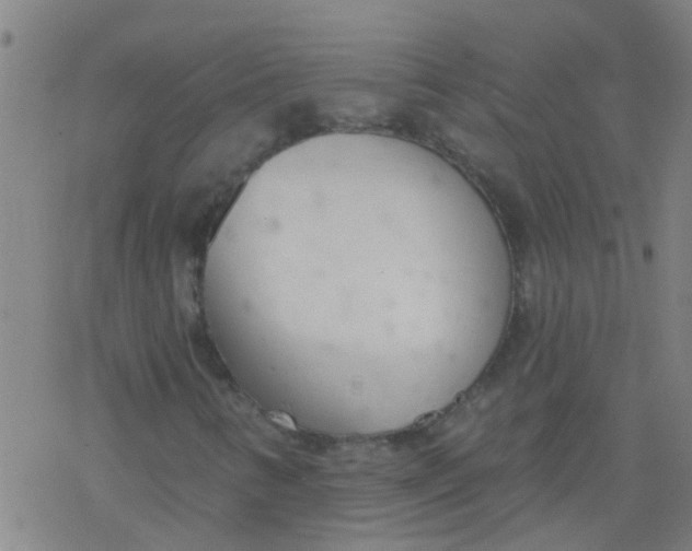 X0000077401346200611101810