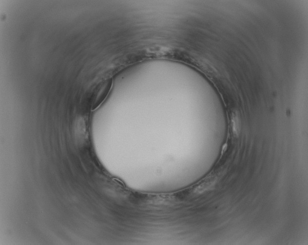 X0000077401347200611101810