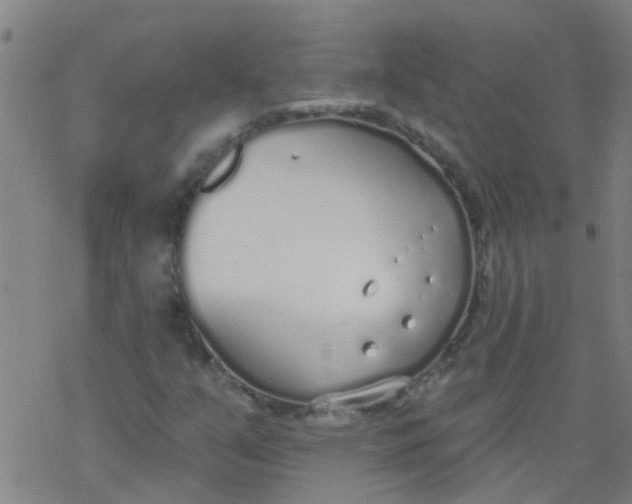 X0000077401351200611101810