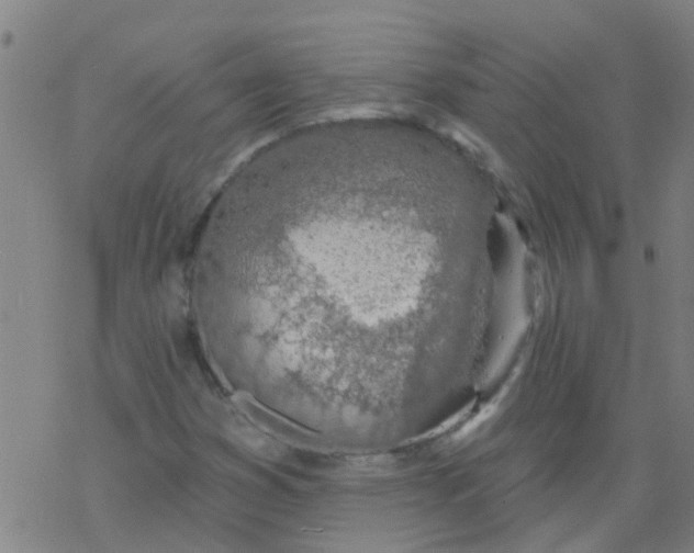 X0000077401353200611101810