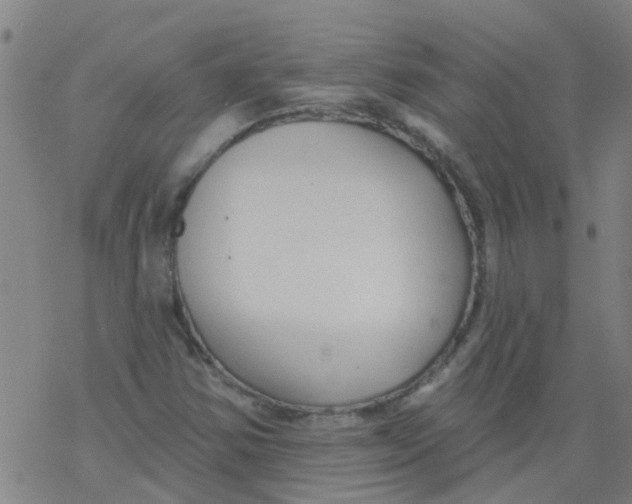 X0000077401354200611101809