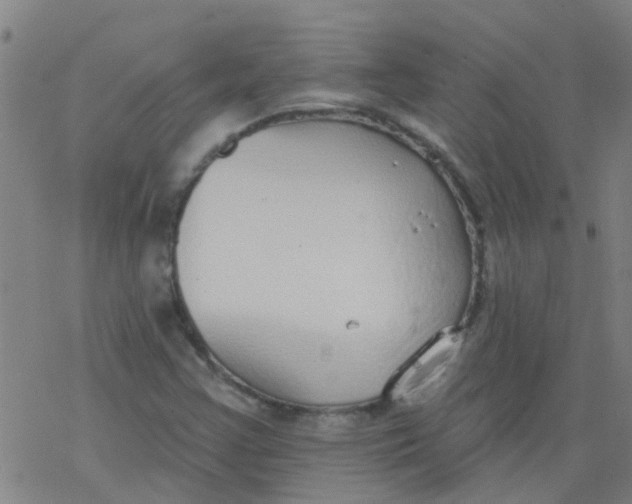 X0000077401355200611101809