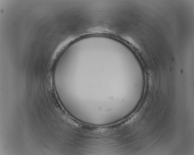 X0000077401358200611101809