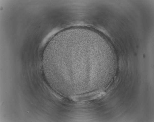 X0000077401359200611101809