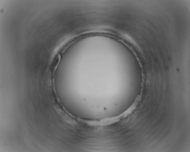 X0000077401360200611101809