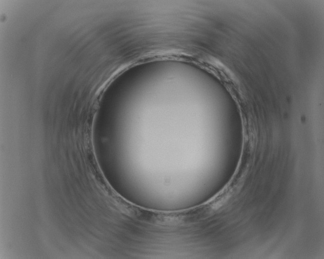 X0000077401361200611101809