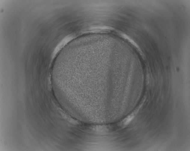 X0000077401362200611101809