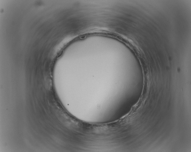 X0000077401363200611101809