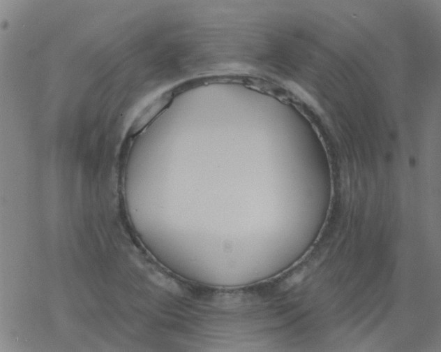 X0000077401364200611101809