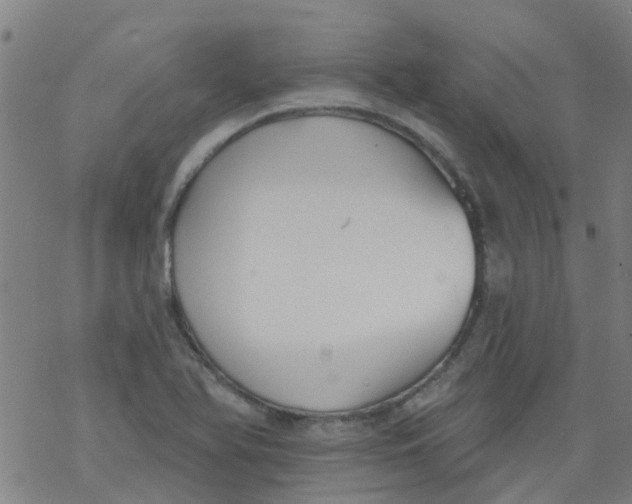 X0000077401366200611101809