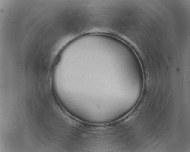 X0000077401367200611101809