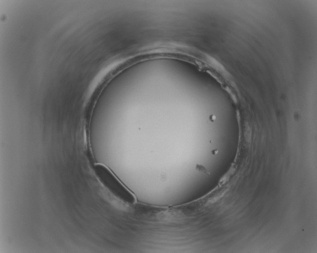 X0000077401368200611101809