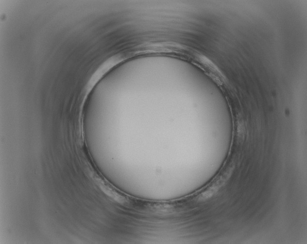 X0000077401370200611101809