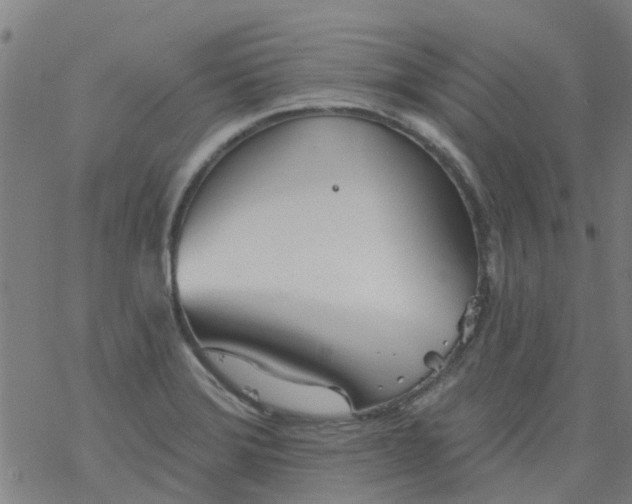 X0000077401372200611101809