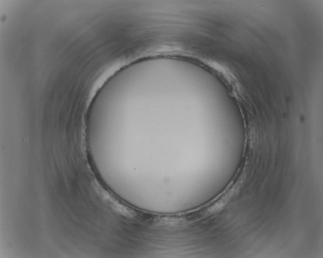 X0000077401374200611101809