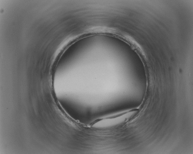 X0000077401376200611101809