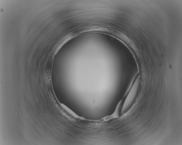 X0000077401377200611101809