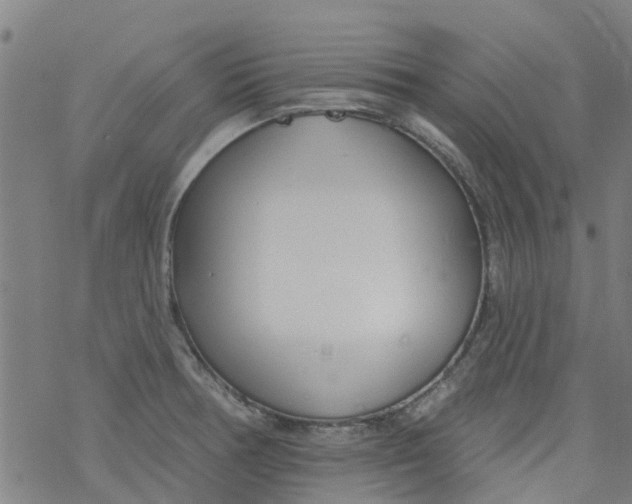 X0000077401378200611101809