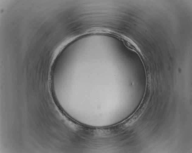 X0000077401379200611101809