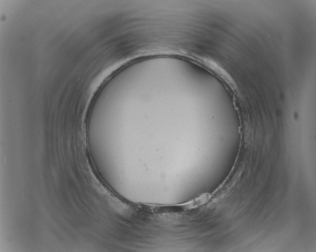 X0000077401380200611101809