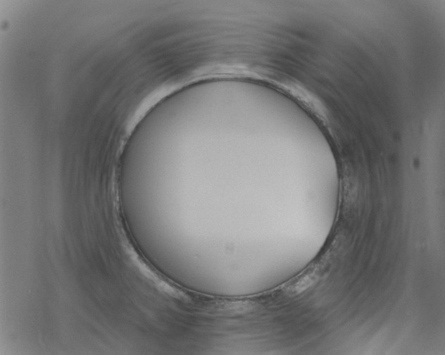 X0000077401382200611101809