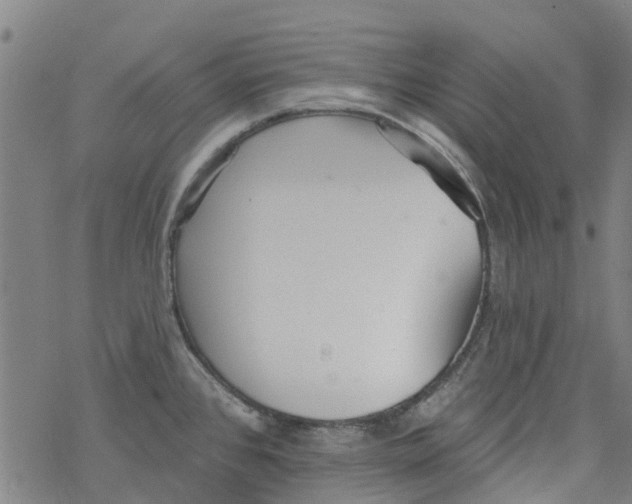 X0000077401384200611101809