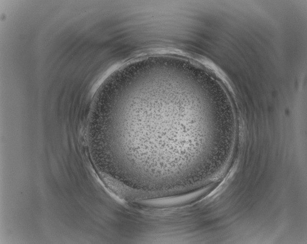 X0000077401385200611101809