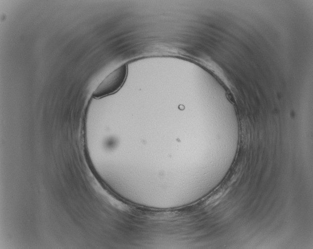 X0000077401387200611101809