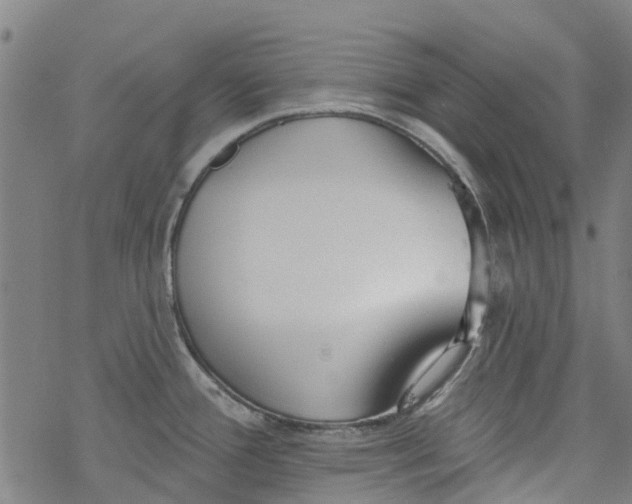 X0000077401388200611101809