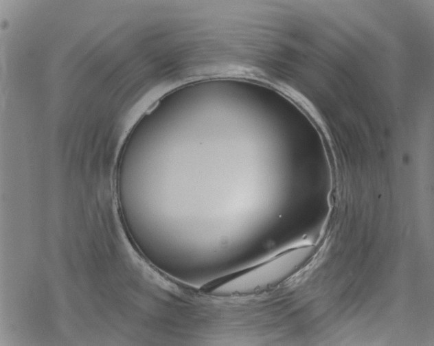 X0000077401389200611101809