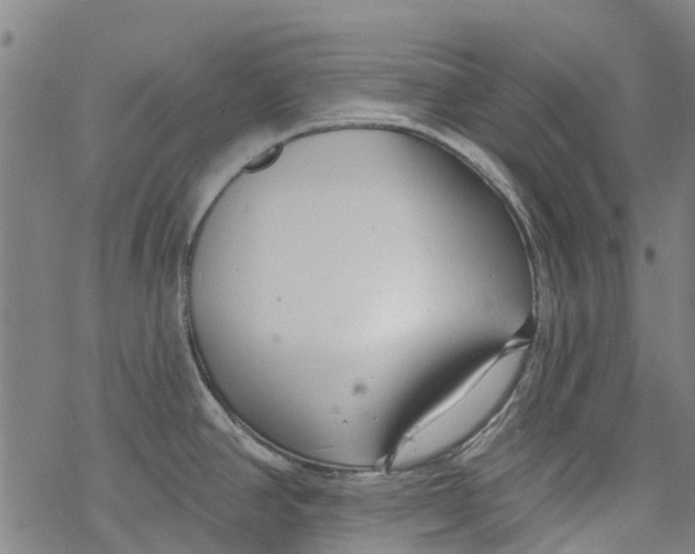 X0000077401390200611101809