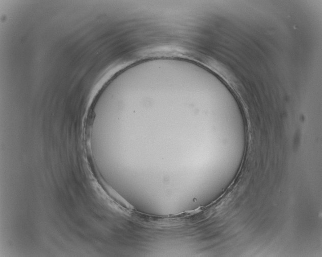 X0000077401392200611101809