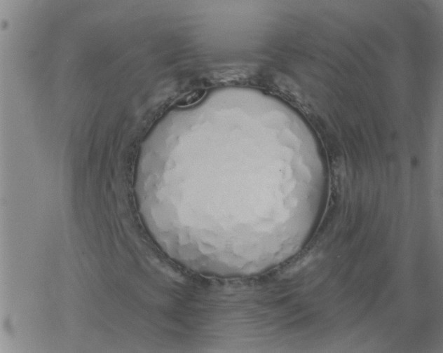 X0000077401393200611101808