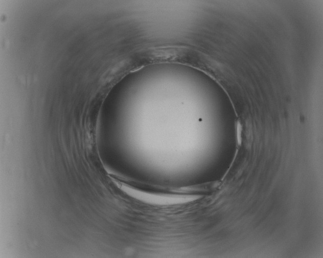 X0000077401394200611101808