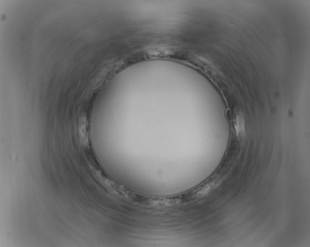 X0000077401396200611101808