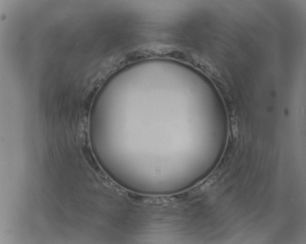 X0000077401397200611101808