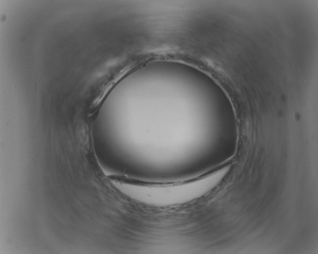 X0000077401398200611101808