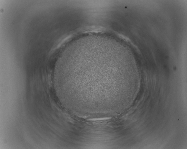 X0000077401399200611101808