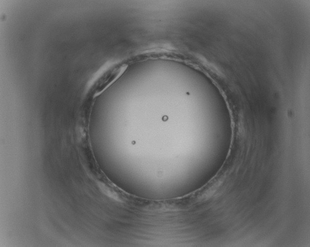 X0000077401400200611101808