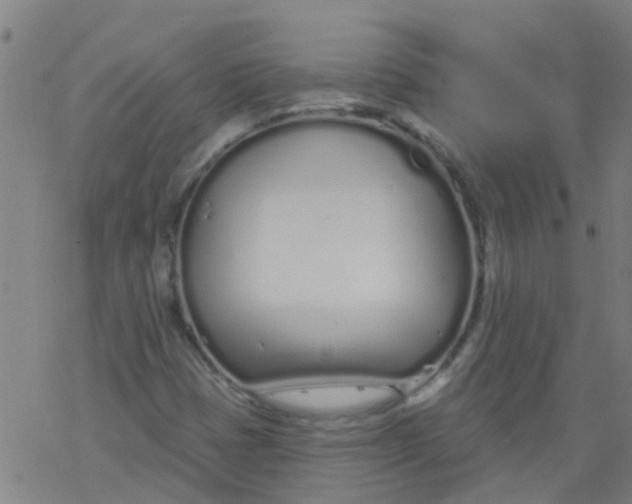 X0000077401401200611101808