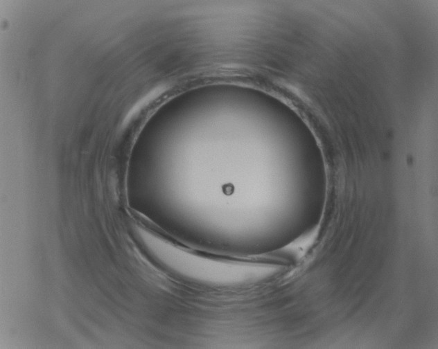 X0000077401402200611101808